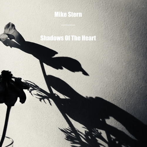 Mike Stern - Shadows Of The Heart