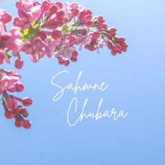 Sahmne Chubara (feat. Sardool Sikander)