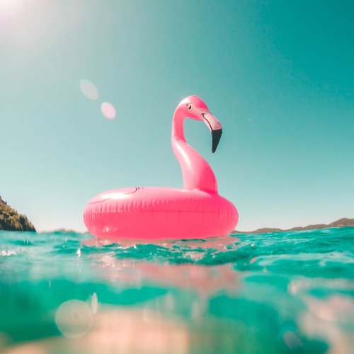 PARADISE #req Stanislav