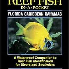 View KINDLE 🖊️ Reef Fish In A Pocket - Florida Caribbean Bahamas by Paul Humann,Ned