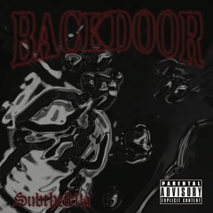 Back Door