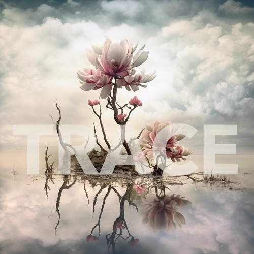 Trace (naviarhaiku523)