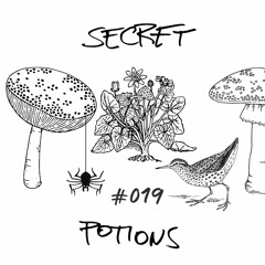 Secret Potions #019: DELLA - Rabbit Hole (Original Mix) [Playground Records] FREE DOWNLOAD