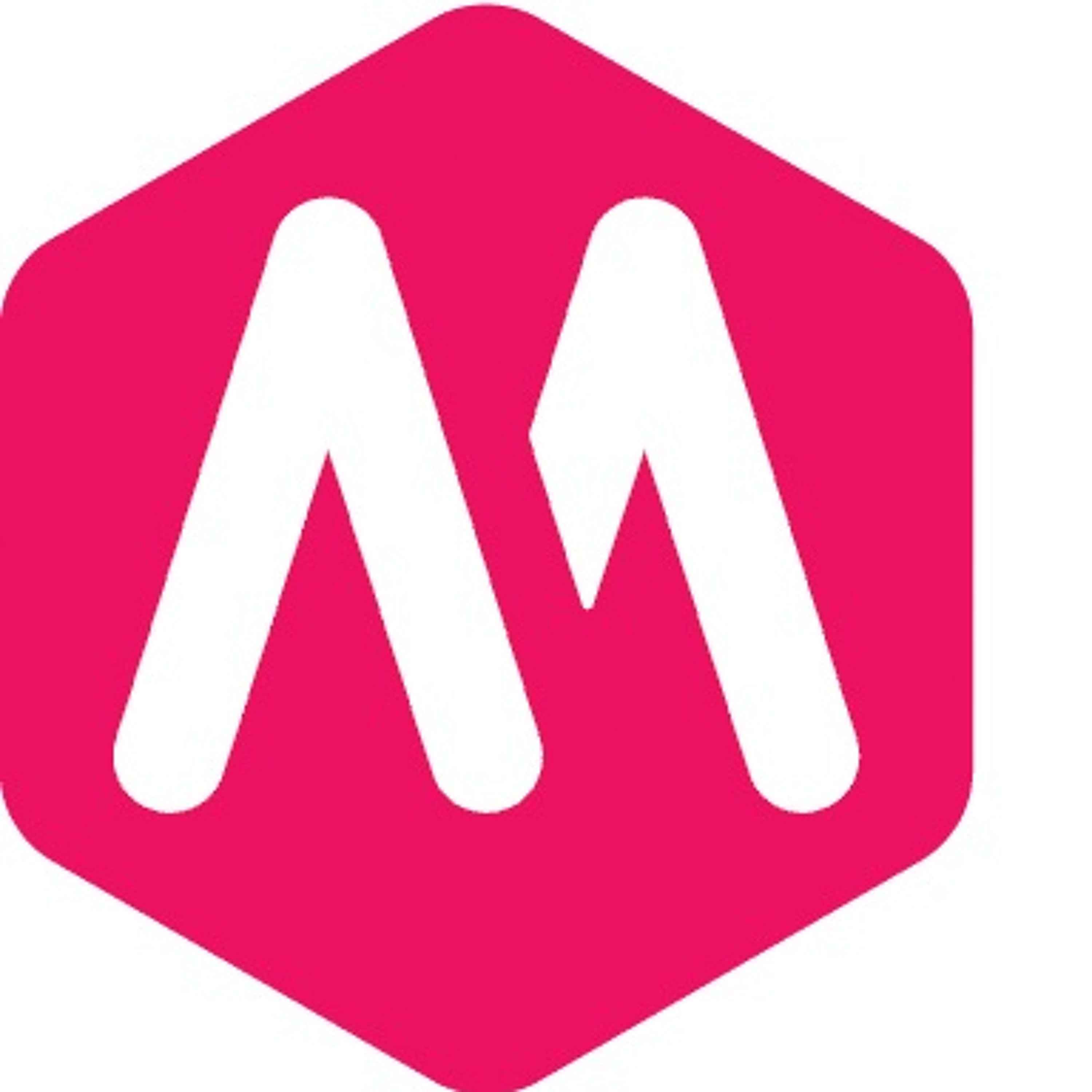 Netwerk Mediawijsheid