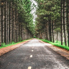 أناشيد جهادية