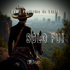 Solo fui
