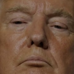 trumps june