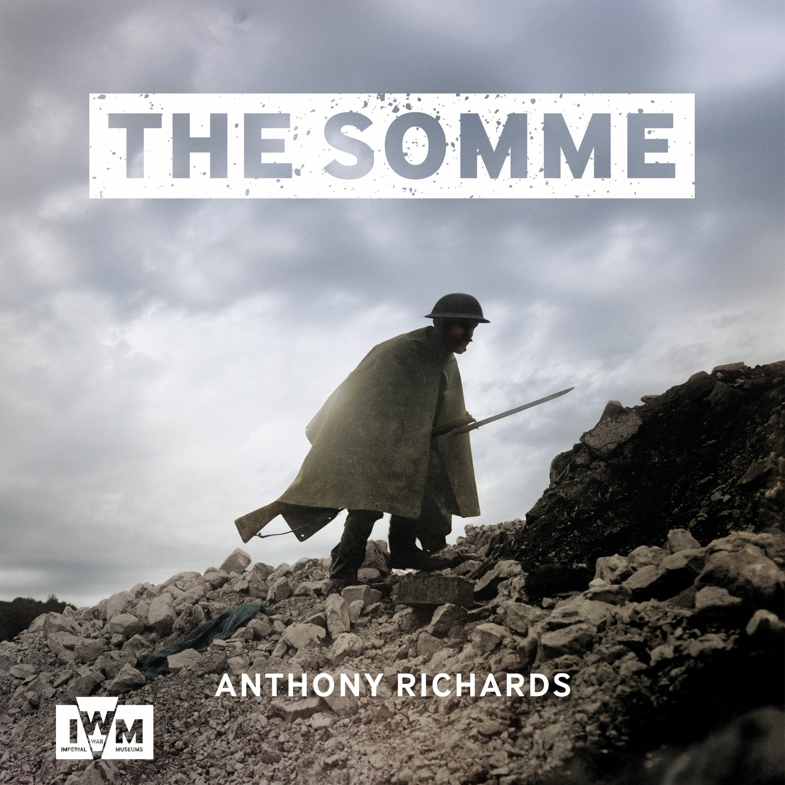 cover of episode THE SOMME by Anthony Richards, read by Gavin Osborn - Audiobook extract