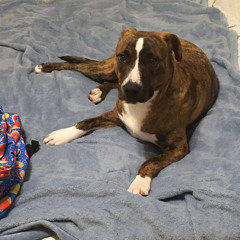 hop out the bed turn my swag on !!!!!!!!!