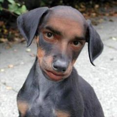 WuFF-wUff