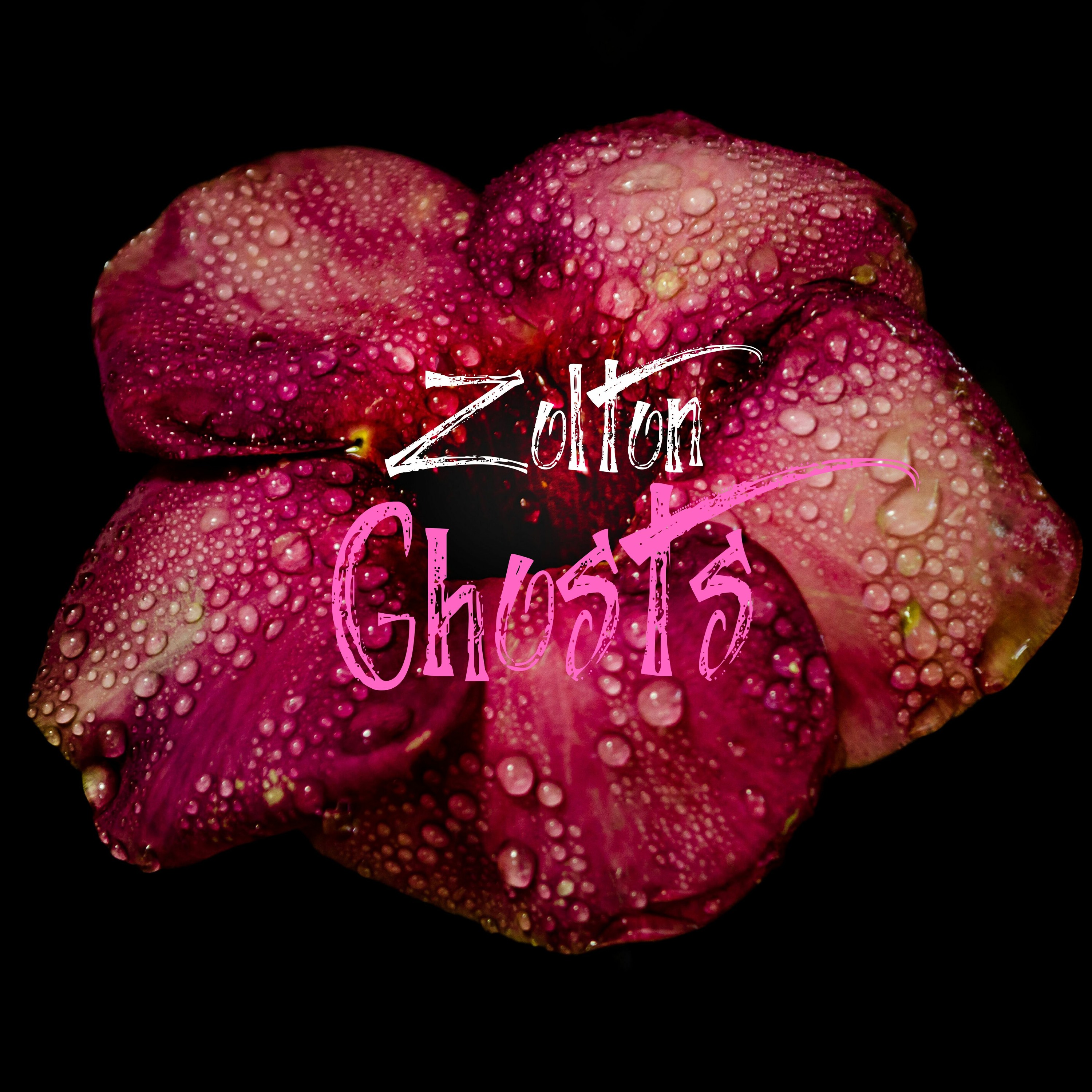 Zolton
