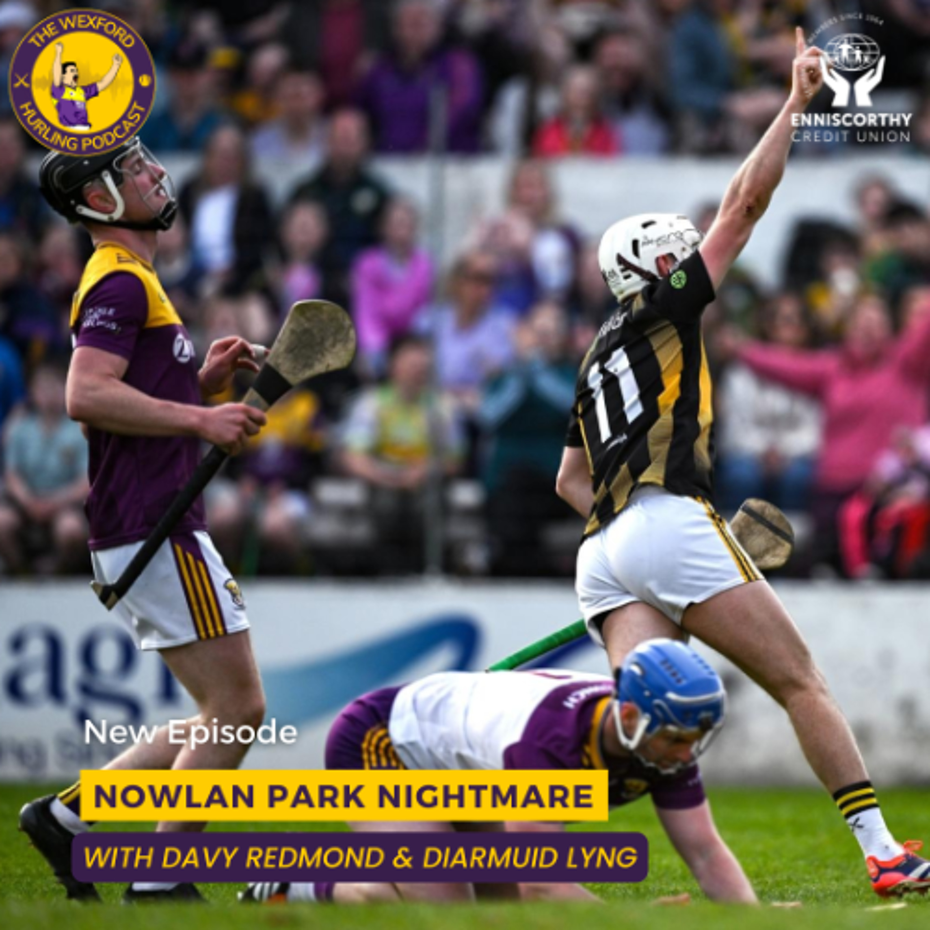 The Wexford Hurling Podcast