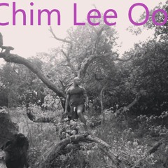 Chim Lee Oo