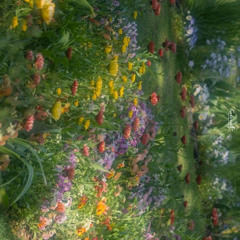 tlqkf라는 제목의 게임인생