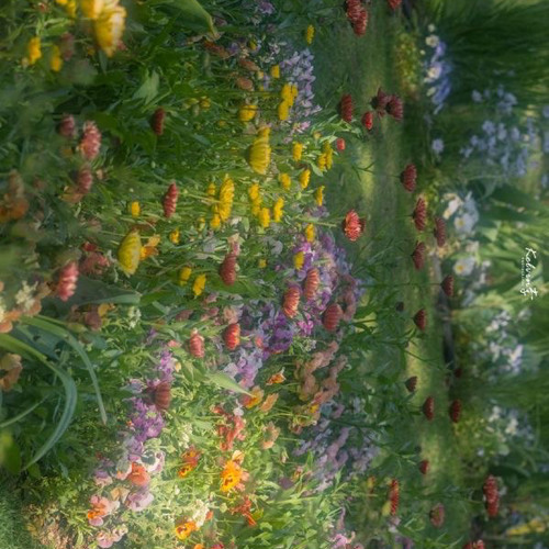 tlqkf라는 제목의 게임인생