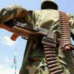 Le groupe armé Wazalendo se dit combattre aux côtés des FARDC et veulent l'officialisation