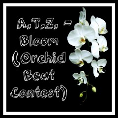 Bloom (Orchid Beat contest)
