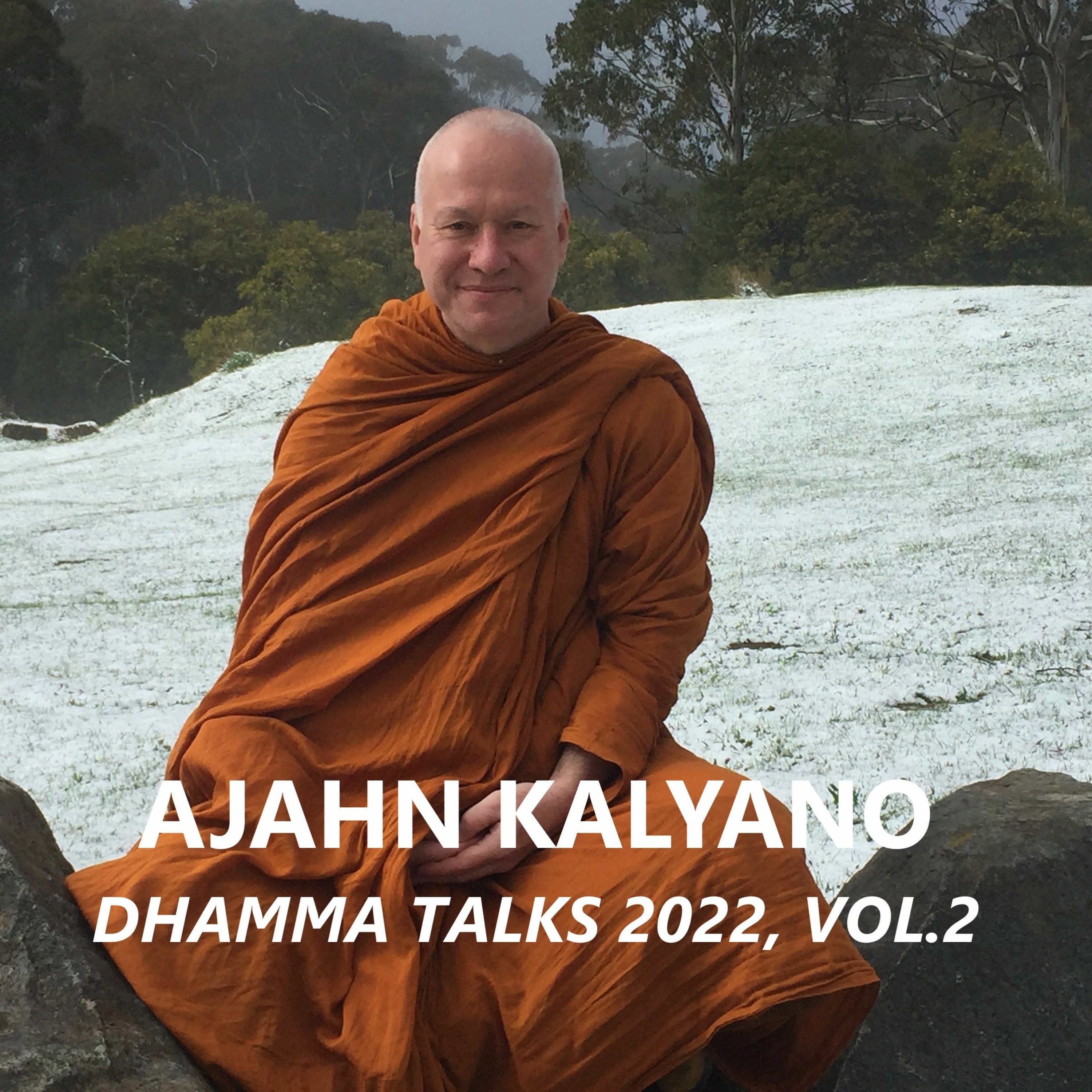 Dhamma Q&A - 22 Nov 2022 episode artwork