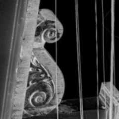 i don't understand the nature of the wounds i hold