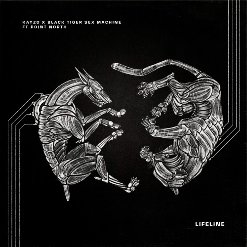 Kayzo & Black Tiger Sex machine - Lifeline Feat. Point North