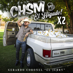 CHSM El Higado