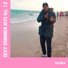 Sexy Sommer Hits Vol. 12 | taube
