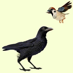 «Sparrows and Crow» Op. 133.