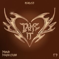 Take It (SGaWD Remix)