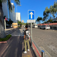 Emirson Alves 002