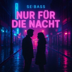 Nur für die Nacht