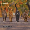 Joe Thomas (UK) - Hip Cats