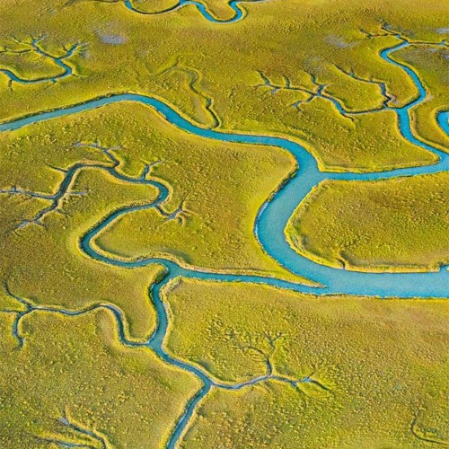 Rico Recklezz Rappers Diss