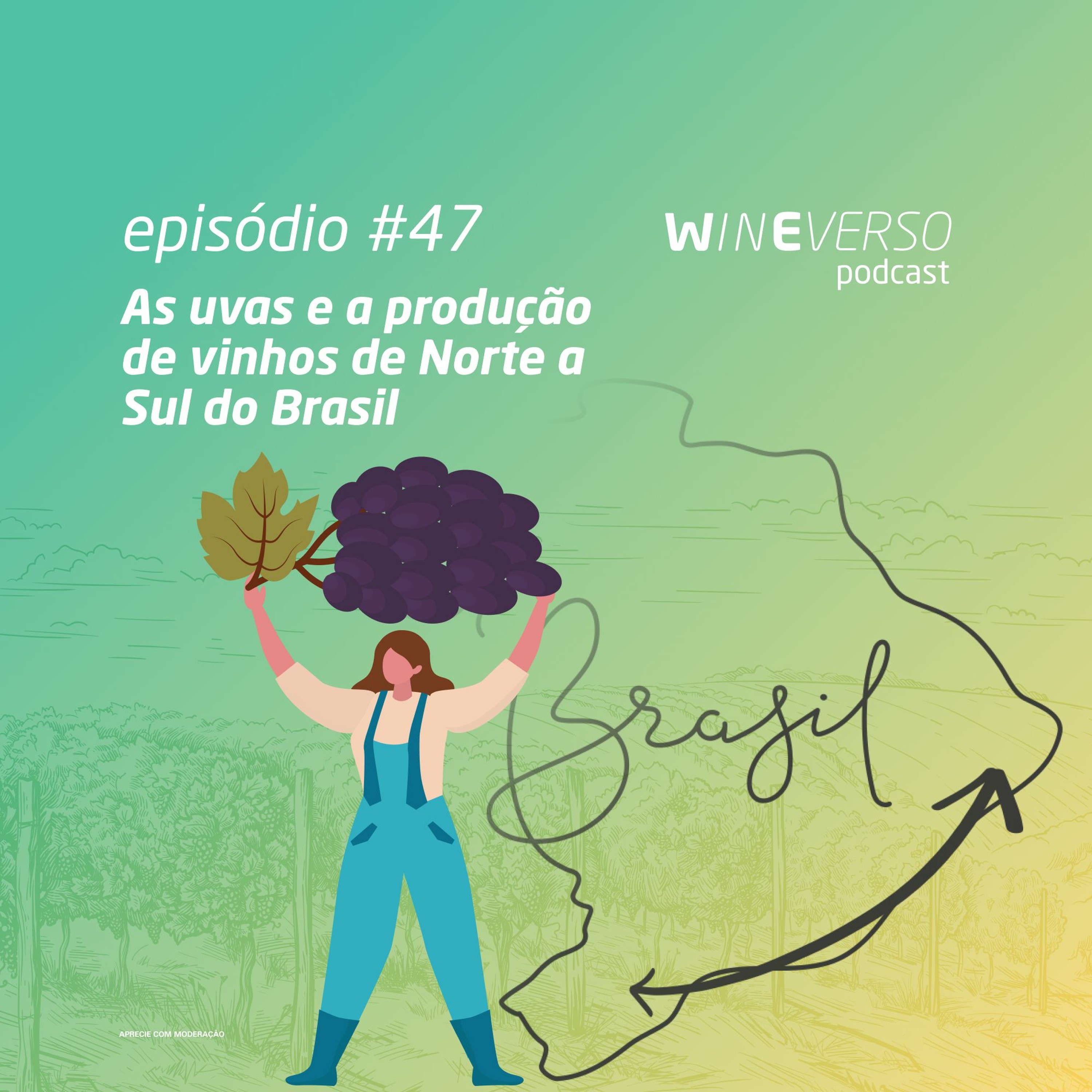 As uvas e a produção de vinhos de norte a sul do Brasil episode artwork
