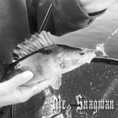 Mr. Snagman