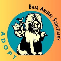 BAJA ANIMALS NON PROFIT PSA