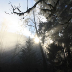 STILL GOING! (PROD.Prod. Requiem Cult)