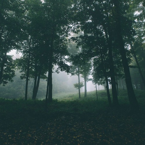 Mein Deutsch ist schlecht