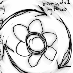 bloomcycle1