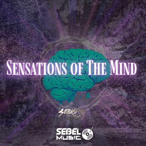 Sensations of The Mind