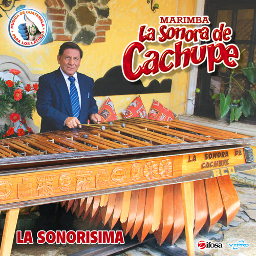 Stream El Tecomate de Tata Chico by Marimba La Sonora de Cachupe | Listen  online for free on SoundCloud