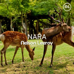 Nara - (Free Download Radio Edit + Extended Mix)
