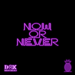 Now Or Never - DJ Dox (Pineapple Kutz)