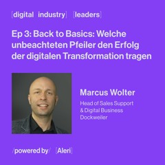 Ep 3 - Back to Basics: Welche unbeachteten Pfeiler den Erfolg der digitalen Transformation tragen