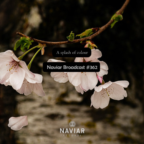 Naviar Broadcast #362 - A splash of colour – Wednesday 2nd April 2025