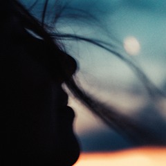 Place Albert - Josephine Pia Wild