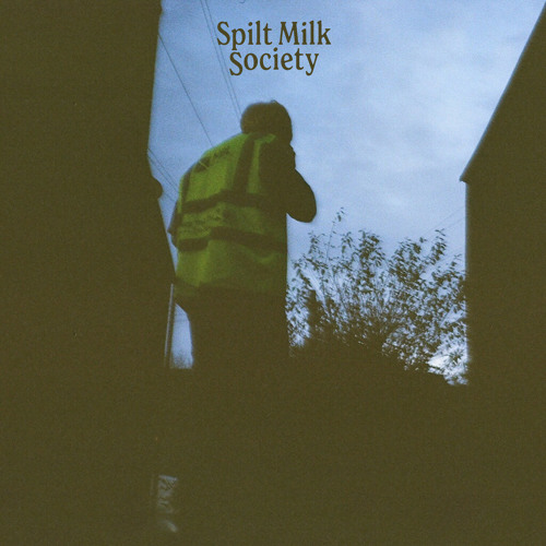 Stream Turtleneck Boy by Spilt Milk Society | Listen online for free on  SoundCloud