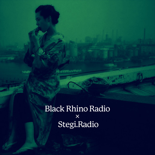 Stream Black Rhino x Stegi: Radio Exchange w/ Retrograde Days