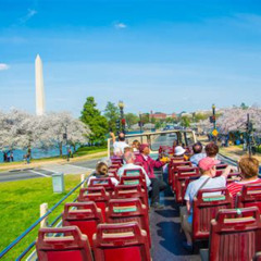 Review Special Price Dc Monuments With River Cruise Cherry Blossoms Entry Tickets