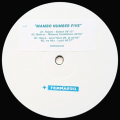 Various - Mambo Number Five (TERRAZZOO5)