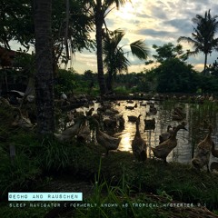 Sleep Navigator ( formerly known as Tropical Mysteries V )